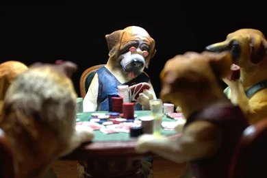 Dogs Playing Poker 1920x1200.jpg