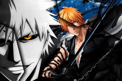 Bleach Anime Wallpapers HD Widescreen 7489   HD Wallpapers Site