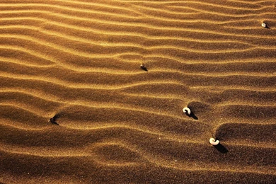 Daily Wallpaper: Sand