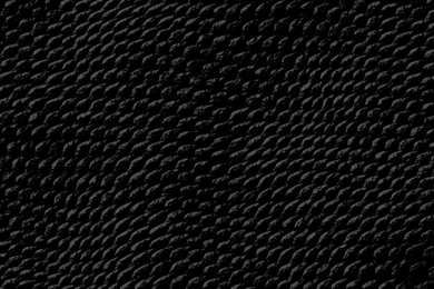 Dark Black Wallpapers Dark Wallpapers 0c Reptile Skin (