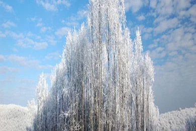 Galaxy S3 Wallpapers HD   Beautiful, Stunning Wallpapers