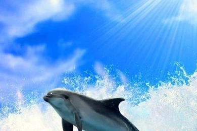 Galaxy S3 Wallpapers HD   Beautiful, Stunning Wallpapers