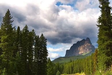 Download HD Wallpapers For Samsung Galaxy S3