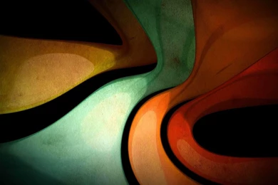 Top Parrot Splash Art Desktop Images For Pinterest