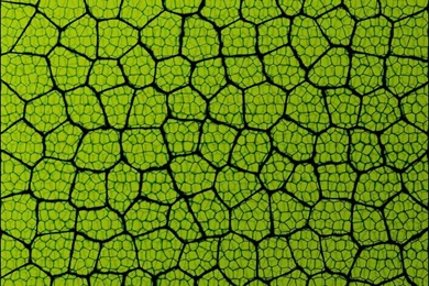 Backgrounds And Textures Photos Category