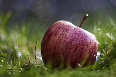 Hd Wallpapers For Laptop 1920X1080   1977743