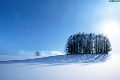 Wallpapers Late High Definition Snow Landscape 1920x1080