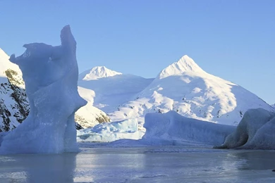 Winter Wonderland HD Wallpapers And Pictures, New Wallpapers