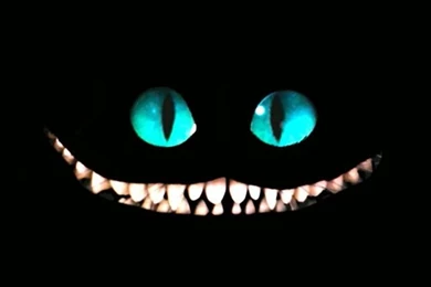 iPhone Wallpapers With Portrait Resolution