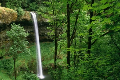 Nature Desktop Wallpapers Full Size   Wallpaper.