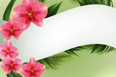 Backgrounds Template With Orchids Vector