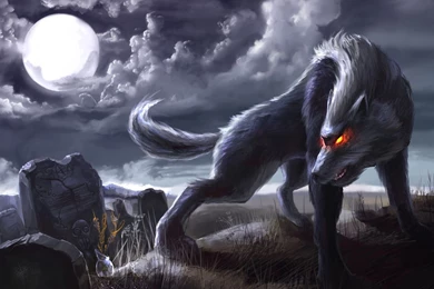 Anime Wolf Wallpapers