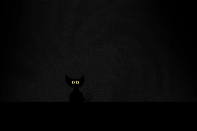 Download Wallpapers 2560x1600 Eyes, Minimalism, Black, Cat ...