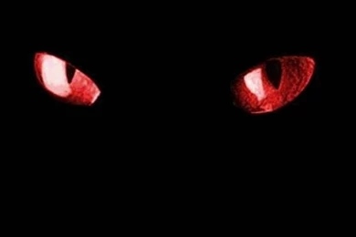 Black Cat Red Eyes Wallpapers