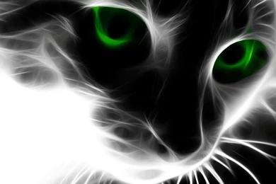 Abstract Abstract Cat Green Eyes Hd Desktop Free Download ...