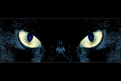 Glowing Cat Eyes By O Chir On DeviantArt