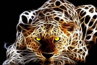 Best 3D Animal Wallpapers