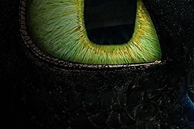 Cat Eyes iPhone 5 Wallpapers (640x1136)