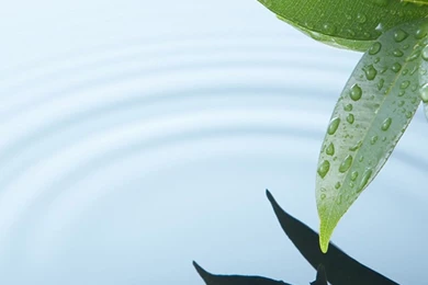 HD Wallpapers For Mobile Samsung Galaxy S5