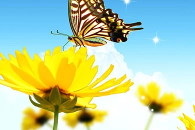 HD Wallpapers For Mobile Samsung Galaxy S5