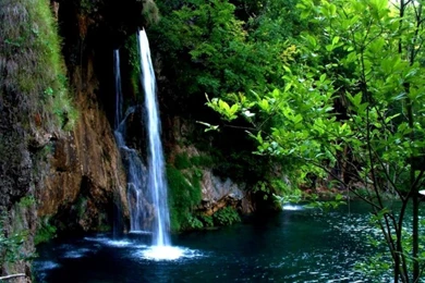 Wallpapers Waterfall Forest