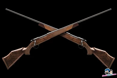 Free Download Guns HD Wallpapers