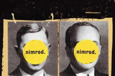 iPhone 5 Wallpapers : Greenday