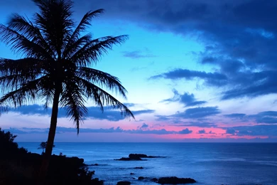 Gallery For Hawaiian Sunset