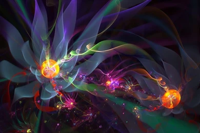 Lungs Nature Wallpaper: 3d Desktop Backgrounds Themes