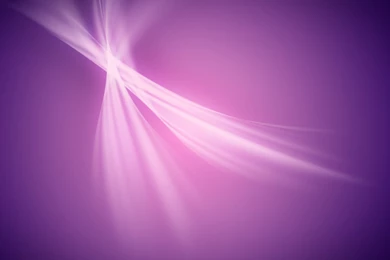 Light Violet Color Wallpaper.