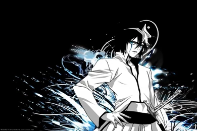 Cool Bleach Wallpapers   Widescreen HD Wallpapers