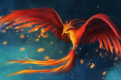 Dragonfirebird Wallpapers HD 1366x768