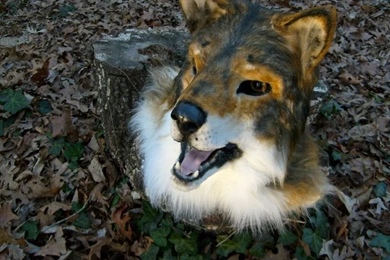 Red Wolf Mask By Thundolis On DeviantArt