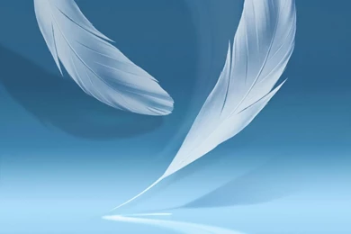 Download Samsung Galaxy Note 2 System Dump With Ringtones ...