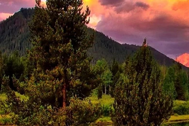 Galaxy S3 Wallpapers HD   Beautiful, Stunning Wallpapers