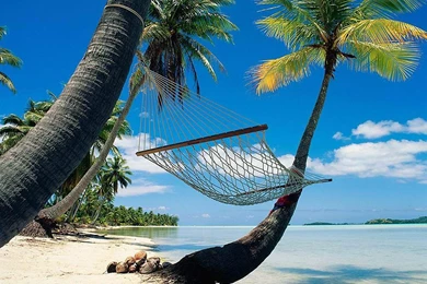 Top Beach Backgrounds For Desktop Images For Pinterest