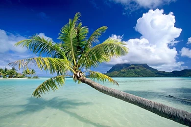 Tropical Beach Wallpapers Desktop Backgrounds