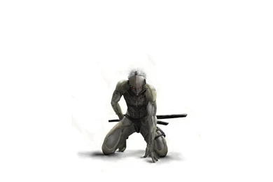 Top Metal Gear Solid Raiden Wallpaper Images For Pinterest