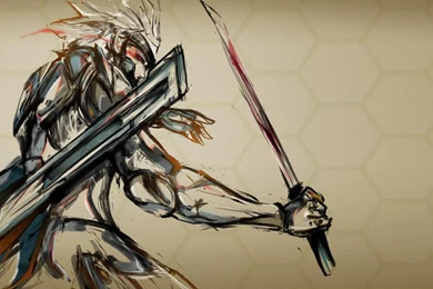 RAIDEN METAL GEAR SOLID WALLPAPER   (