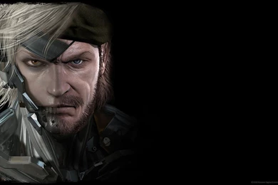 Raiden Mgs Wallpapers   155238