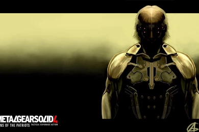 Raiden Mgs Rising Wallpapers   7250