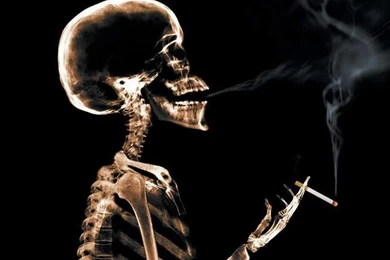 3D Skeleton Smoking   Wallpapers