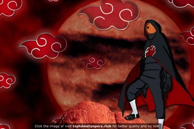 Best Tobi 4K Or HD Wallpapers For Your PC, Mac Or Mobile Device