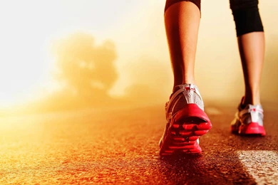 Meet The Team — A.b. Fit