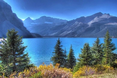 Download Nature Wallpapers Torrent Torrent   Kickass Torrents