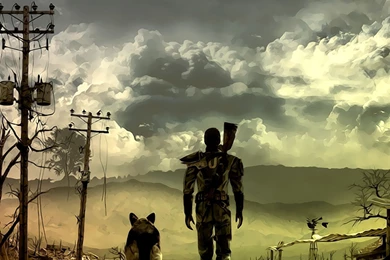 Fallout 3 iPad 3,4 & Air Wallpapers