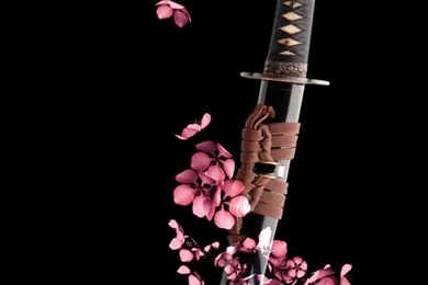 Wallpapers Pictures Photos: Katana Swords Pictures