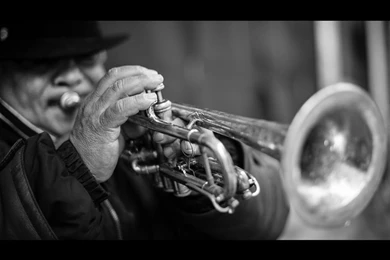 The Trumpet ‹ Jazz CafeJazz Cafe