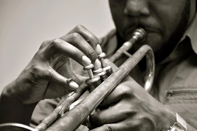 Trumpet Player   (