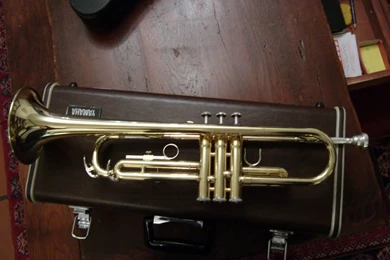 Top Trumpet Graphics Code Images For Pinterest